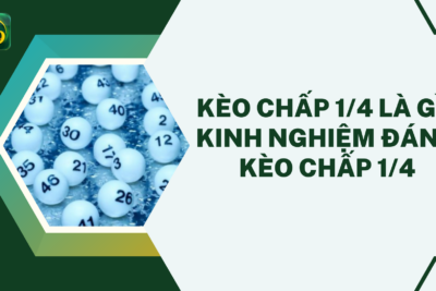 Kèo Chấp 1/4 Là Gì? Kinh Nghiệm Đánh Kèo Chấp 1/4