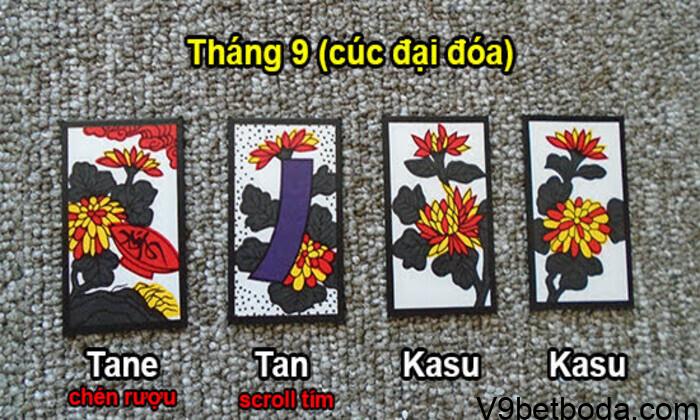 Cách Chơi Bài Hoa Hàn Quốc