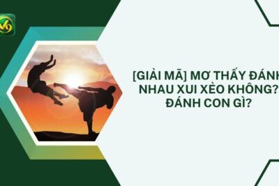 [Giải Mã] Mơ Thấy Đánh Nhau Xui Xẻo Không? Đánh Con Gì?